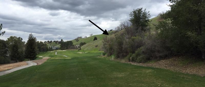 New Rules for the New Year – The Fifth Hole on the Dollar Course